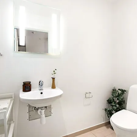Apartmán Sanders Leaves - Charming Three-bedroom In Downtown Kodaň